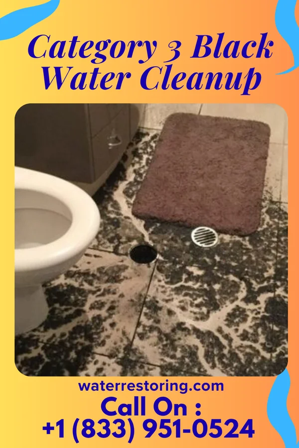 Category 3 Black Water Cleanup in Ruskin, NE